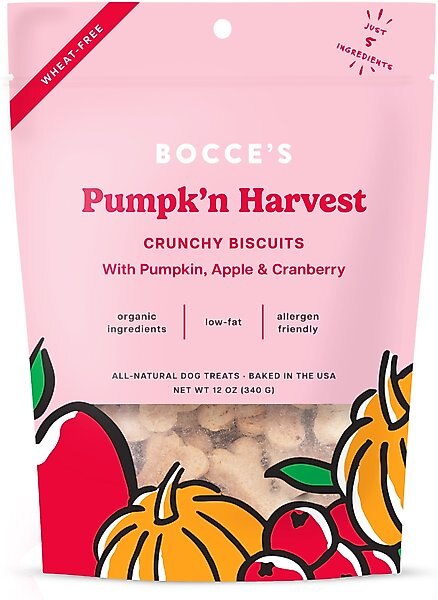 Bocce's Bakery Pumpk'n Harvest Biscuits Crunchy Dog Treats, 12-oz bag slide 1 of 1