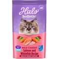 Halo Holistic Indoor Wild-Caught Salmon & Whitefish Recipe Complete Digestive Health & Healthy Weight Support Grain-Free Adult Dry Cat Food, 6-lb bag