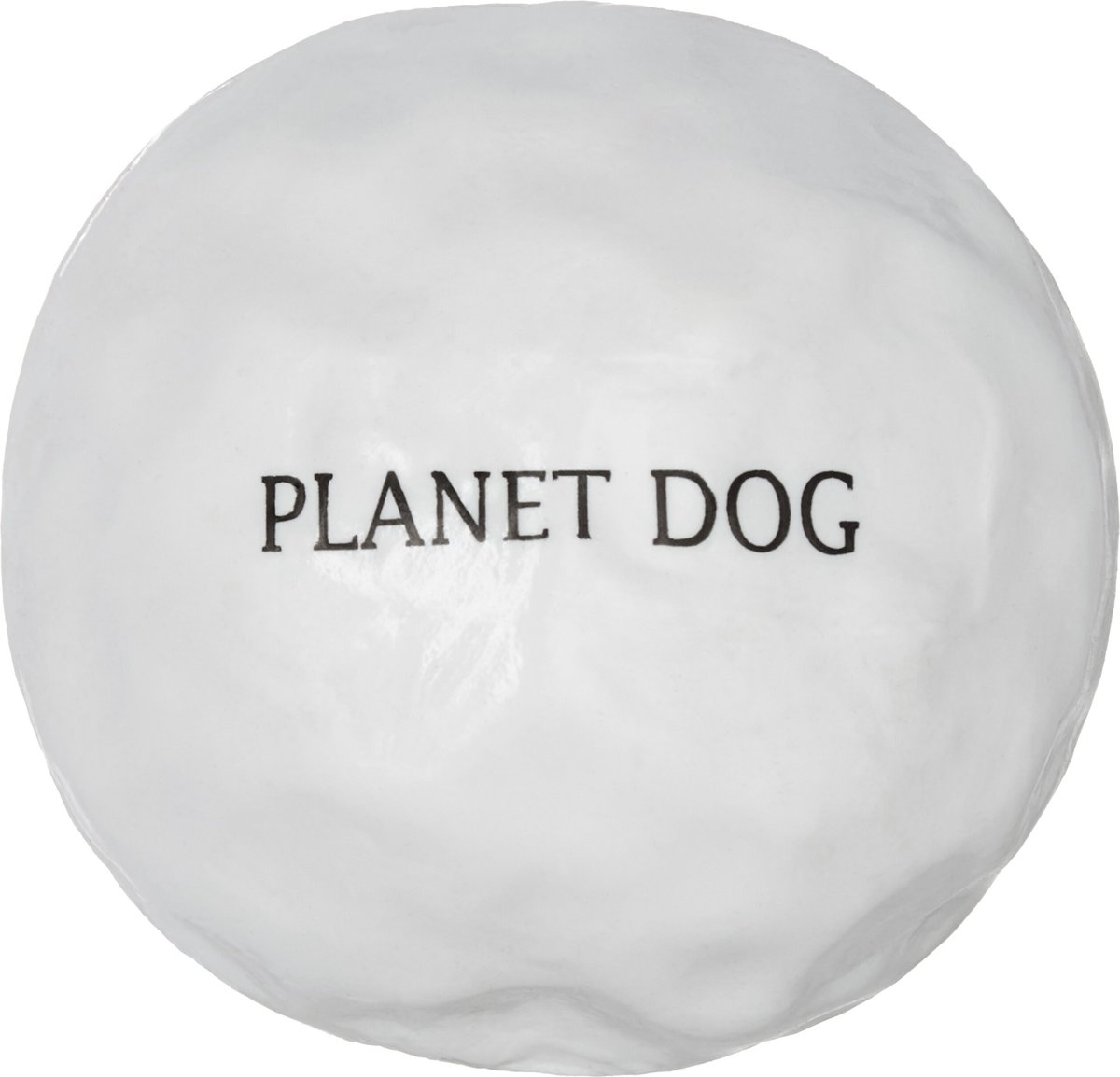 Planet 2025 dog snowball