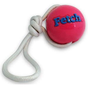 Planet Dog Orbee-Tuff Fetch Ball with Rope Tough Dog Chew Toy, Pink