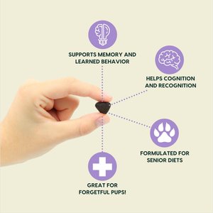 Ark Naturals Gray Muzzle Brain's Best Friend Soft Chew Brain & Nervous System Supplement for Senior Dogs, 90 count