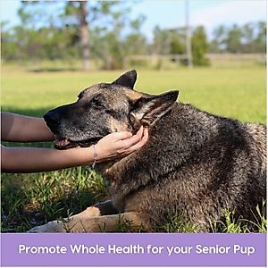Ark Naturals Gray Muzzle Brain's Best Friend Soft Chew Brain & Nervous System Supplement for Senior Dogs, 90 count