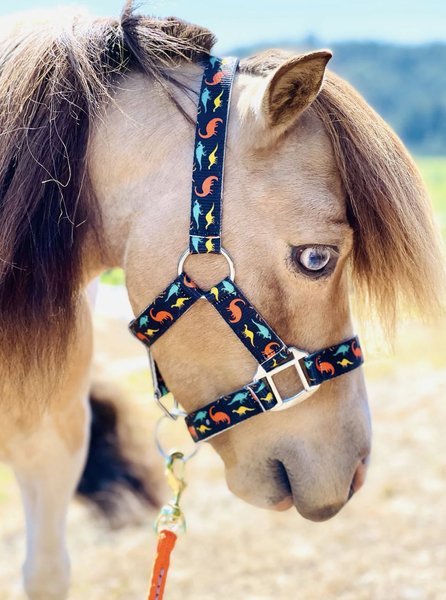 Star Point Horsemanship Mini-Pony-Livestock Printed Halter