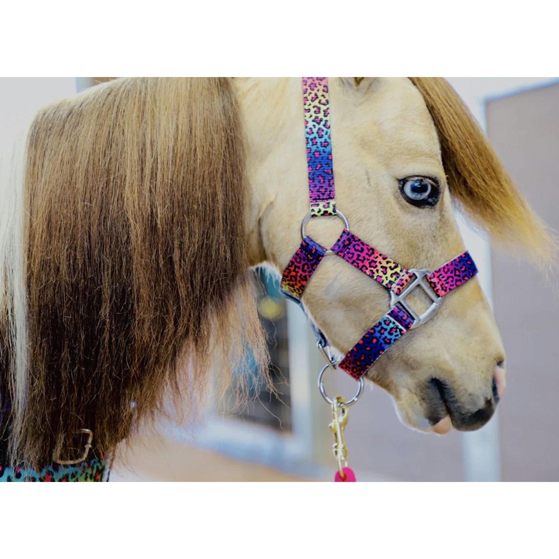 Star Point Horsemanship Mini-Pony-Livestock Printed Halter, Rainbow Cheetah, Medium
