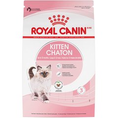 Kitten essentials sales