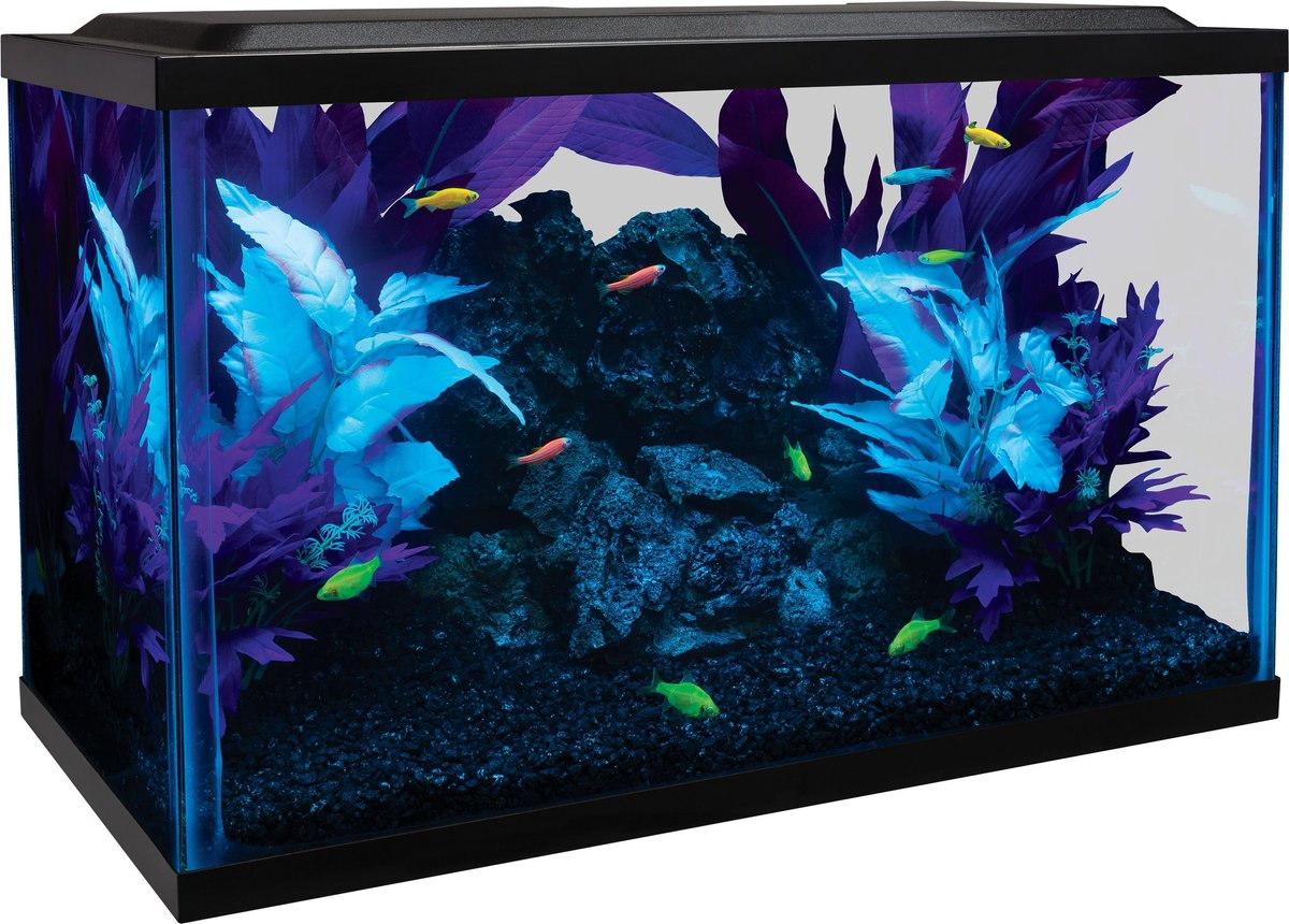 GLOFISH LED Lighting & Filter Aquarium Kit, 10-gal - Chewy.com