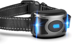 GroovyPets 650 Yard T700 Remote Training Shock Collar System Spare Dog Collar