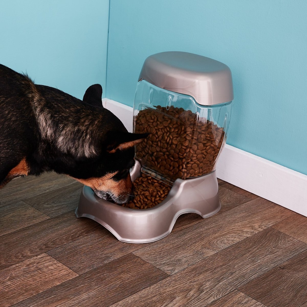 PETMATE Pearl Pet Cafe Gravity Refill Dog & Cat Feeder, Tan, 24cup