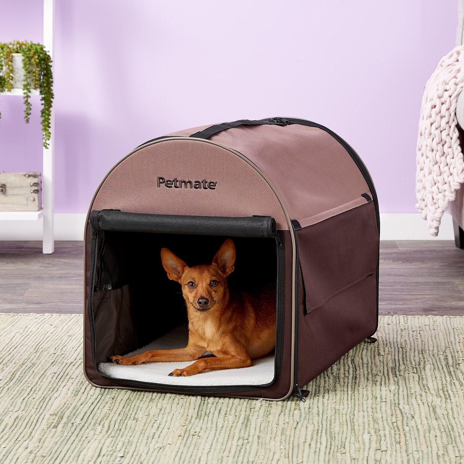 PETMATE Single Door Collapsible SoftSided Dog Crate, Dark Taupe/Coffee