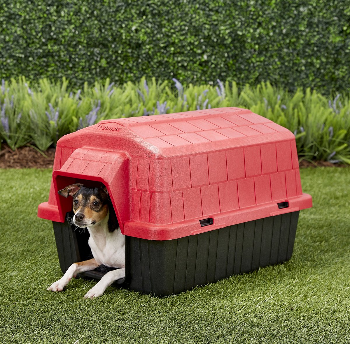 Petmate extra best sale large dog house