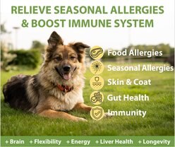 Googipet Allergy Relief Smoked Beef Flavored Chew Supplement for Dogs, 90 count slide 2 of 8