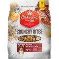 Chicken Soup for the Soul Crunchy Bites Bacon & Cheese Biscuit Dog Treats, 32-oz bag