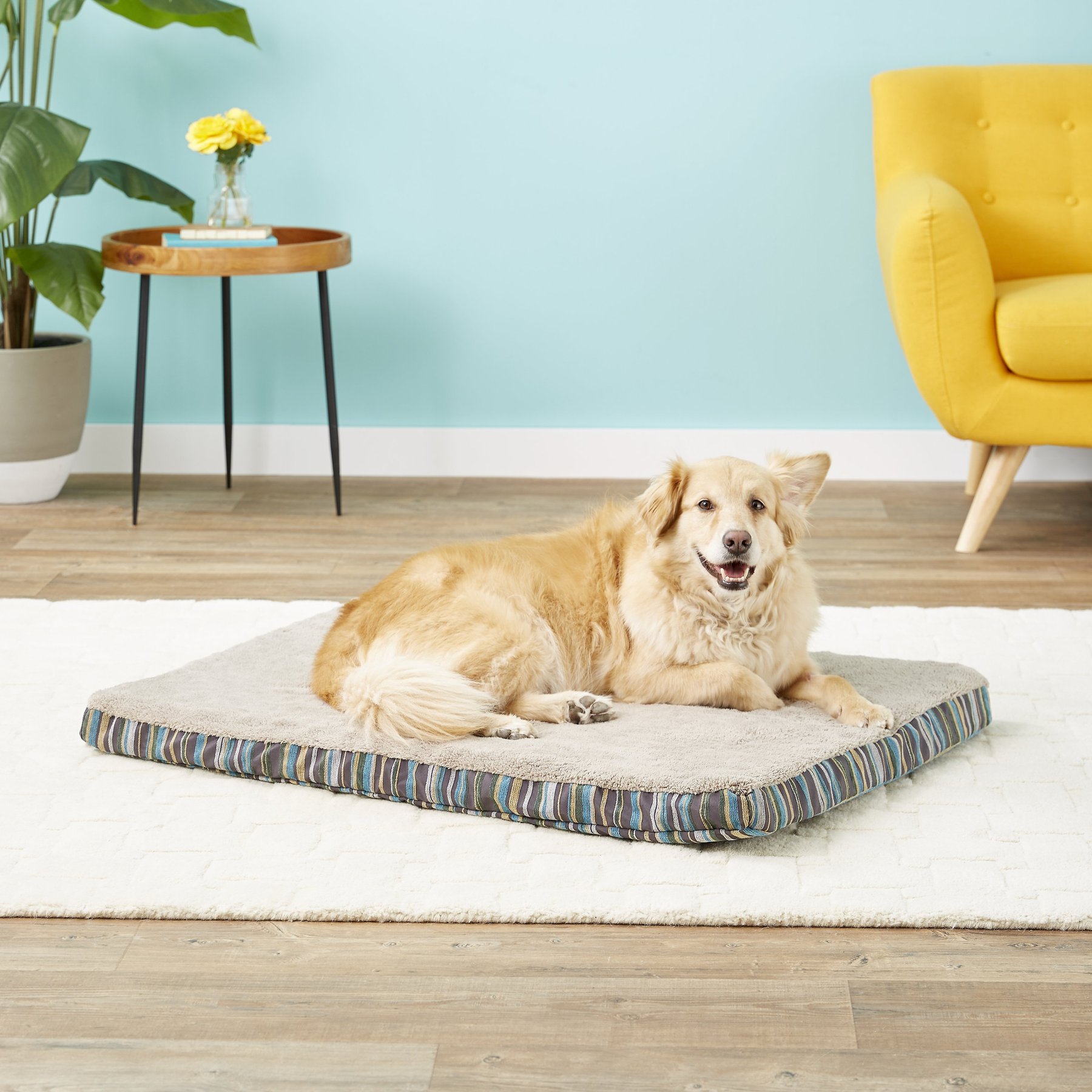 Petmate Antimicrobial Deluxe Gusseted Pillow Cat & Dog Bed with Removable Cover, Color Varies