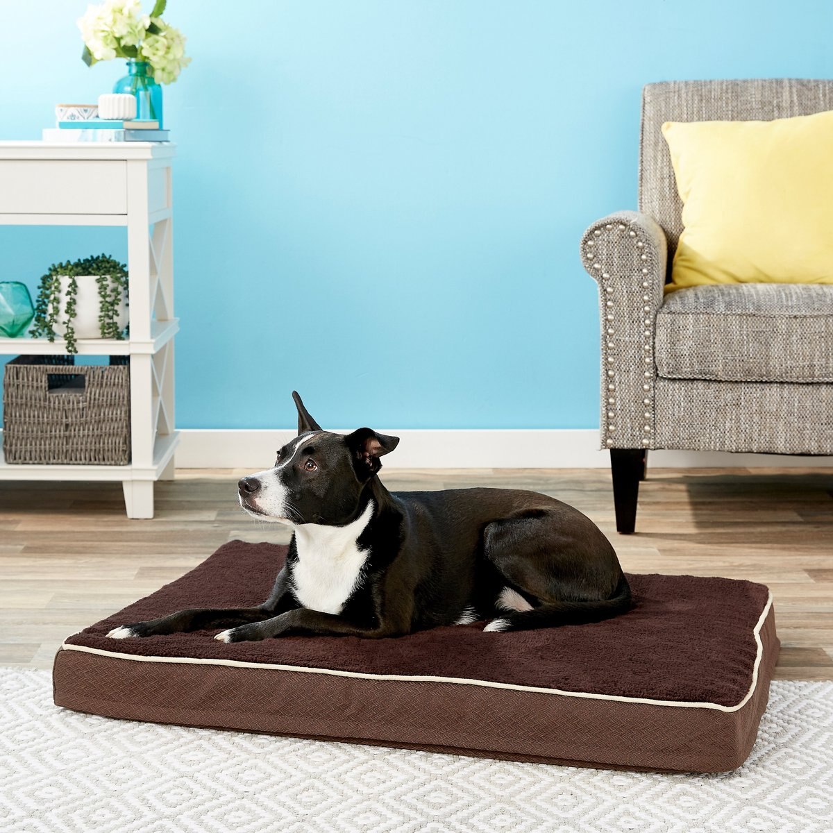 Petmate Plush & Jacquard Double Orthopedic Foam Pet Bed, Color Varies