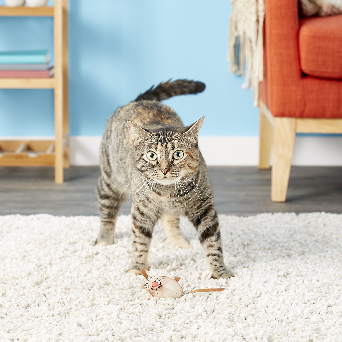 FAT CAT Eeeks! Cat Toy with Catnip, Color Varies, 1 count - Chewy.com