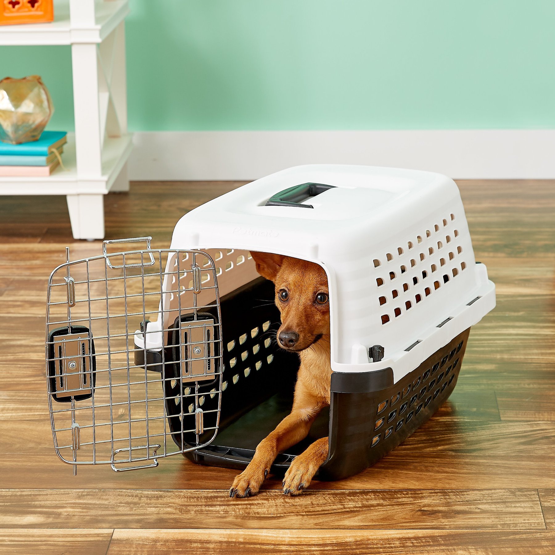 Petmate compass pet carrier best sale