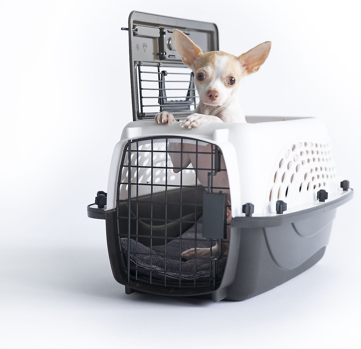 PETMATE Two Door Top Load Dog & Cat Kennel, Small, White - Chewy.com