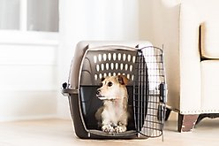 Petmate Two Door Top Load Dog & Cat Kennel, Medium, Tan slide 1 of 8
