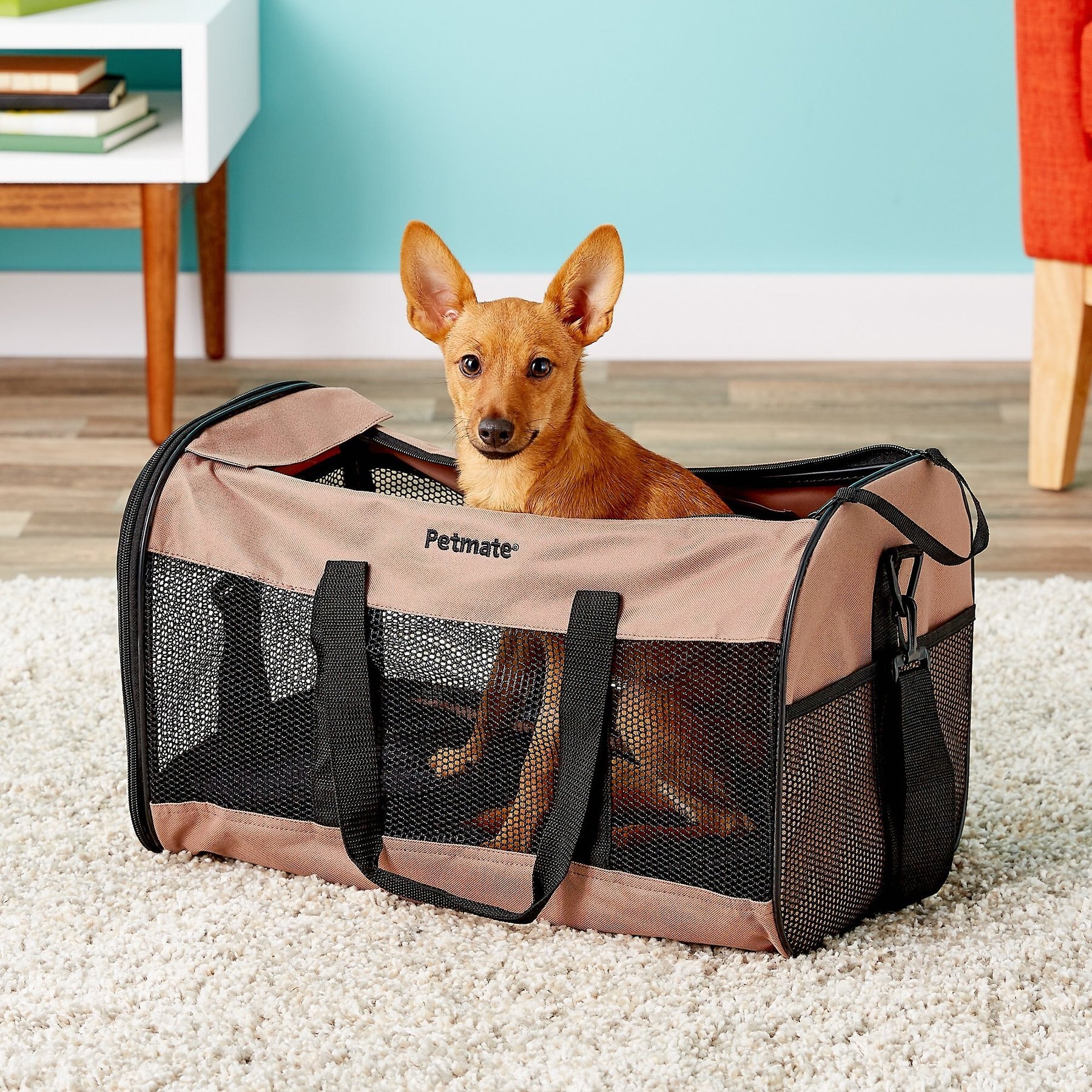 Petmate soft carrier best sale