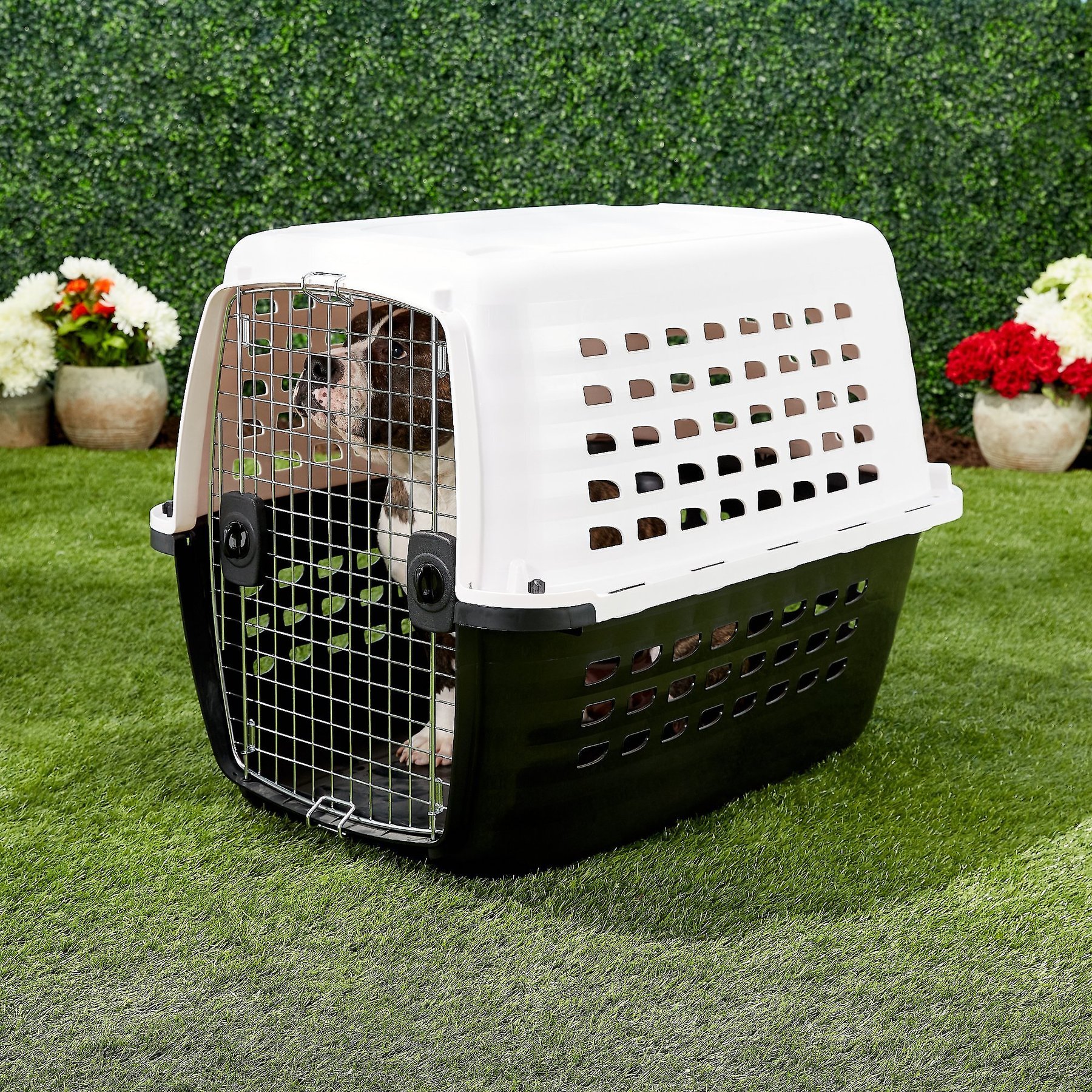 PETMATE Compass Dog Cat Kennel White X Large Chewy