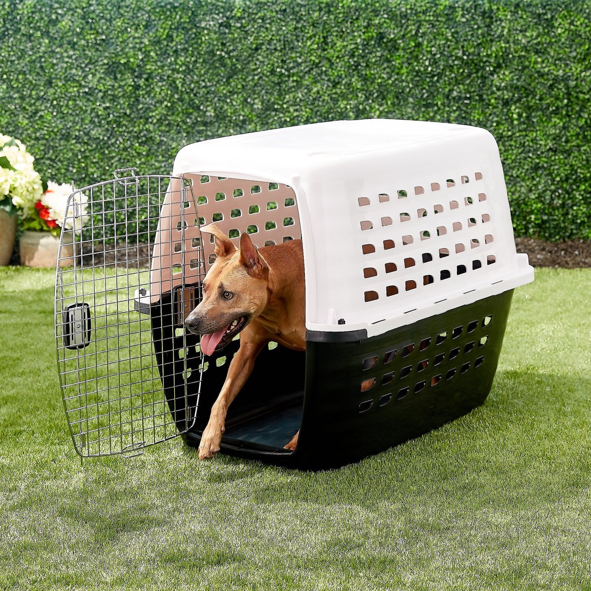 PETMATE Compass Dog Kennel, XLarge