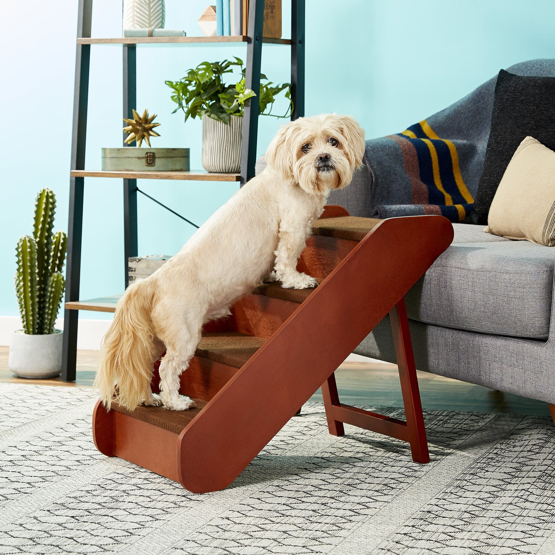 Chewy dog steps outlet for bed