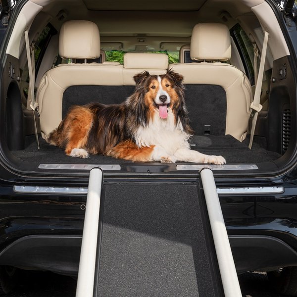 Discontinued PETSAFE Happy Ride Extendable Dog Car Ramp, Regular