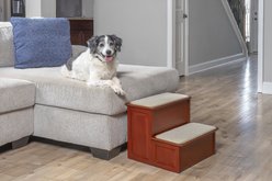 PetSafe CozyUp Wooden Cat & Dog Stairs, 2 Step