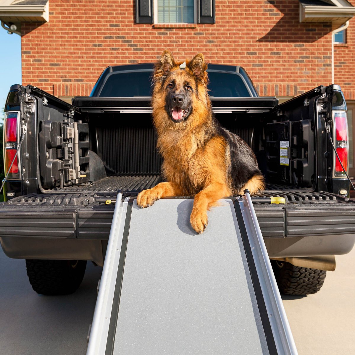 Ramps for dogs to get hot sale into suv