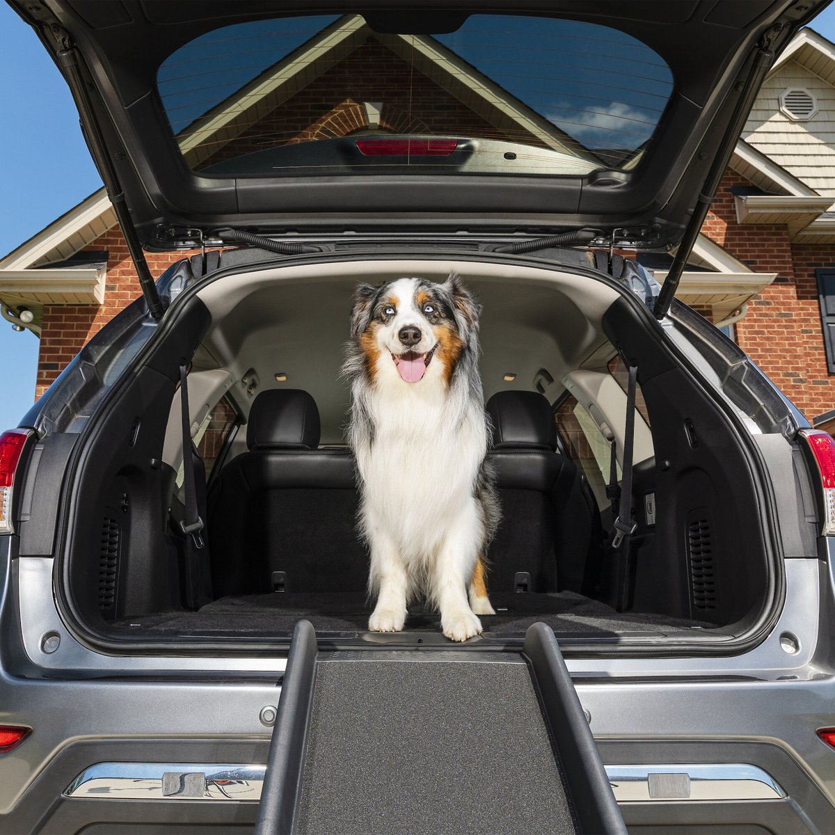 Dog ramp clearance for car boot