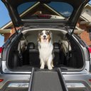 PetSafe Happy Ride Foldable Dog Car Ramp, 62-in