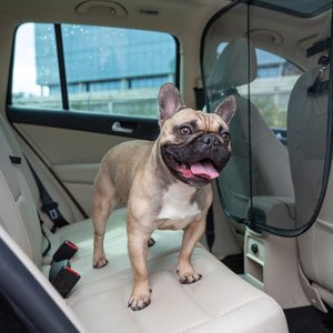 PetSafe Happy Ride Front Seat Mesh Dog Barrier