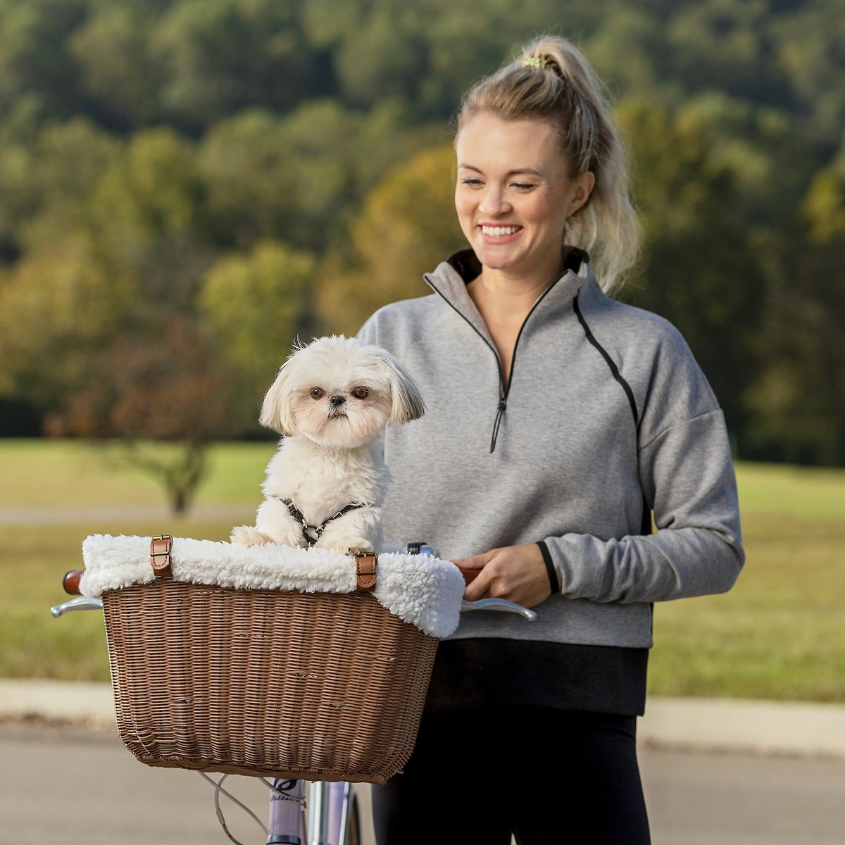 Chewy dog bike online basket