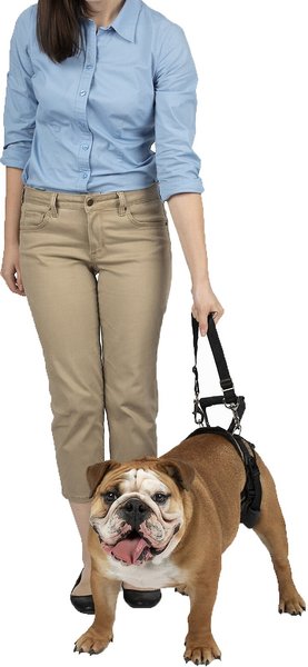 PetSafe CareLift Rear Handicapped Support Dog Harness, Medium slide 1 of 7