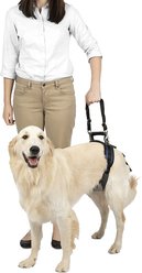 PetSafe CareLift Rear Handicapped Support Dog Harness, Large