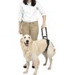 PETSAFE CareLift Rear Handicapped Support Dog Harness, Large - Chewy.com