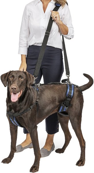 PetSafe CareLift Handicapped Support Dog Harness, Large slide 1 of 10