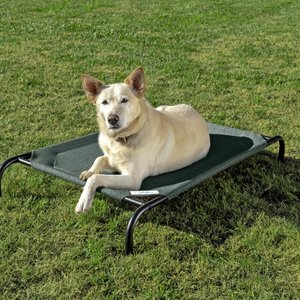 Coolaroo Steel-Framed Elevated Dog Bed, Brunswick Green, Medium