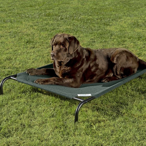 COOLAROO SteelFramed Elevated Dog Bed, Brunswick Green, Large