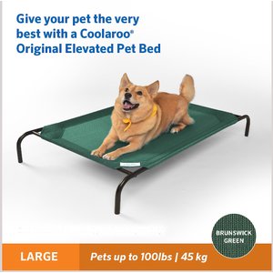 Coolaroo Steel-Framed Elevated Dog Bed, Brunswick Green, Large