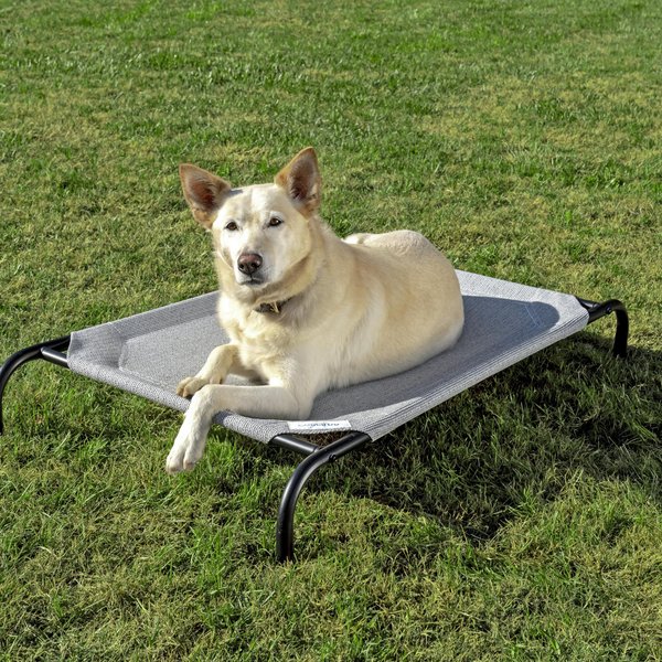 Coolaroo Steel-Framed Elevated Dog Bed, Grey, Medium slide 1 of 9