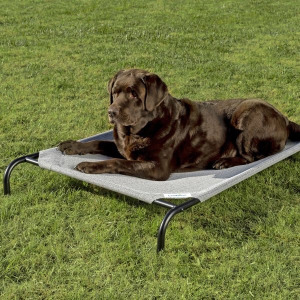Coolaroo Steel-Framed Elevated Dog Bed, Grey, Large slide 1 of 9