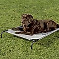 Coolaroo Steel-Framed Elevated Dog Bed, Grey, Large
