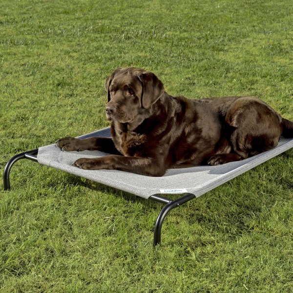 FRISCO SteelFramed Elevated Dog Bed, Gray, Large