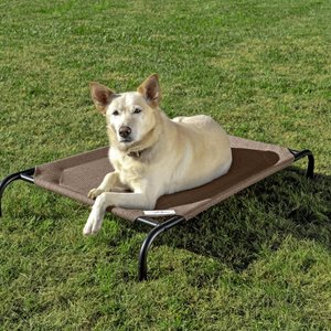 Coolaroo Steel-Framed Elevated Dog Bed, Nutmeg, Medium