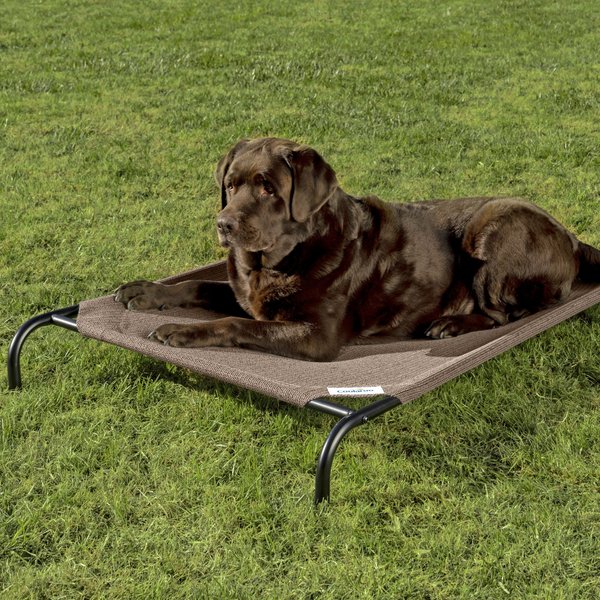 COOLAROO Steel-Framed Elevated Dog Bed, Nutmeg, Large - Chewy.com