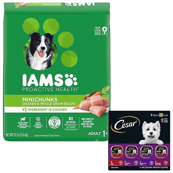 Cesar Classic Loaf in Sauce Beef Recipe, Filet Mignon, Grilled Chicken, & Porterhouse Steak Flavors Variety Pack Food Trays + Iams MiniChunks Small Kibble Dry Dog Food slide 1 of 9