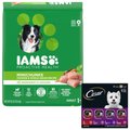 Cesar Classic Loaf in Sauce Beef Recipe, Filet Mignon, Grilled Chicken, & Porterhouse Steak Flavors Variety Pack Food Trays + Iams MiniChunks Small Kibble Dry Dog Food