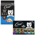 Cesar Rotisserie Chicken Flavor & Spring Vegetables Garnish Dry Food + Poultry Lover's Variety Pack Wet Dog Food
