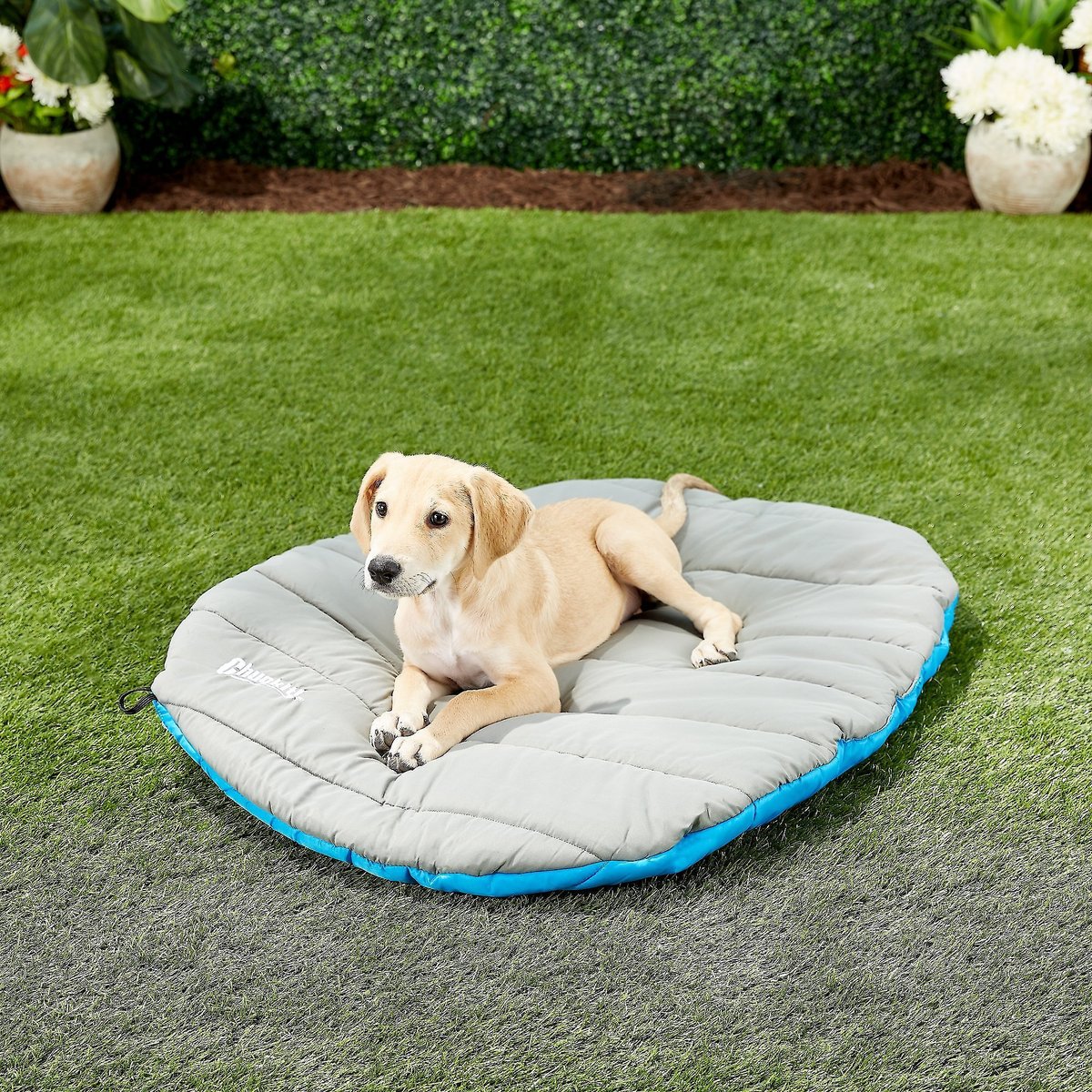 Chuckit! Travel Pillow Dog Bed slide 1 of 9